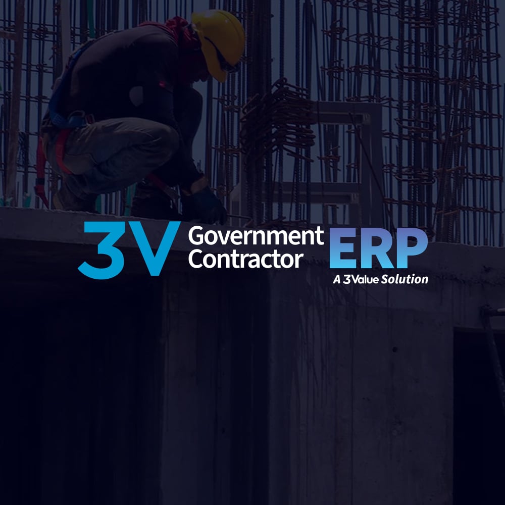 Government Contractor