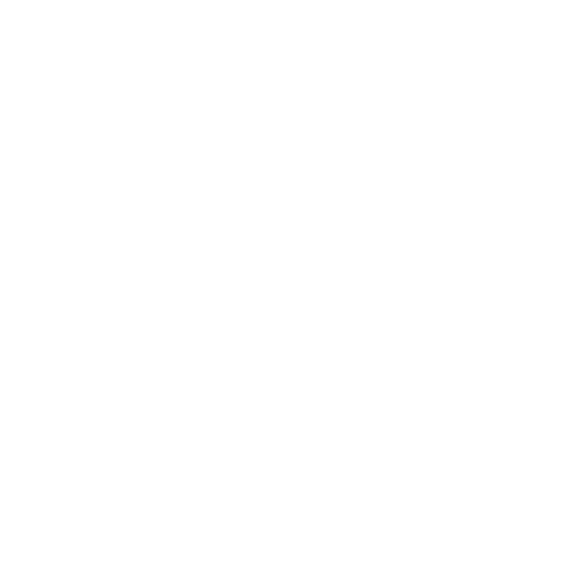 icon-Speed-to-Value-white