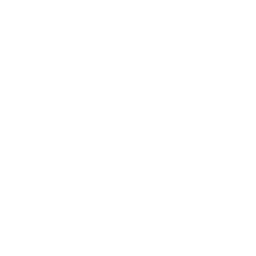 Expert ERP Implementation